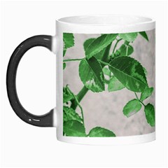 Plants Over Wall Morph Mugs by dflcprints