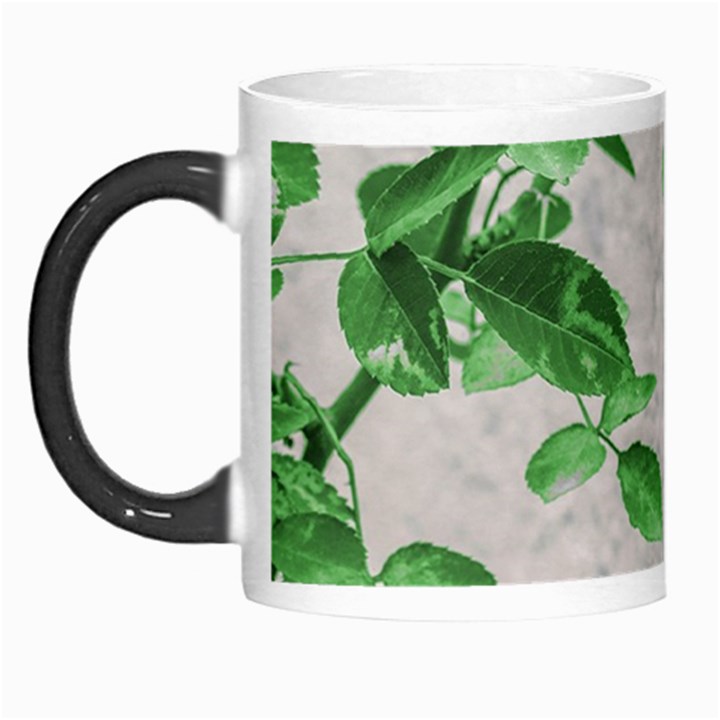 Plants Over Wall Morph Mugs