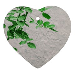 Plants Over Wall Heart Ornament (two Sides) by dflcprints