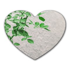 Plants Over Wall Heart Mousepads by dflcprints