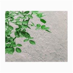 Plants Over Wall Small Glasses Cloth (2-side) by dflcprints