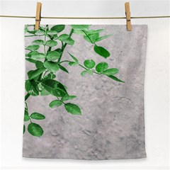 Plants Over Wall Face Towel by dflcprints