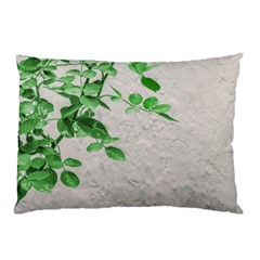 Plants Over Wall Pillow Case by dflcprints