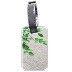 Plants Over Wall Luggage Tags (two Sides) by dflcprints