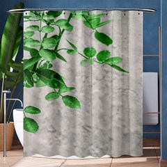 Plants Over Wall Shower Curtain 60  X 72  (medium)  by dflcprints