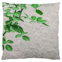 Plants Over Wall Large Cushion Case (one Side) by dflcprints