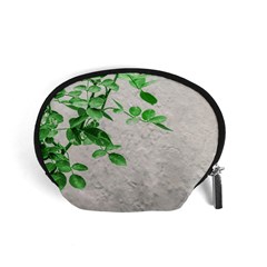 Plants Over Wall Accessory Pouches (small)  by dflcprints