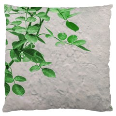 Plants Over Wall Large Flano Cushion Case (one Side) by dflcprints