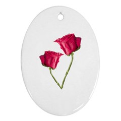 Red Roses Photo Ornament (oval) by dflcprints