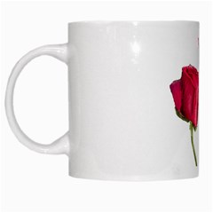 Red Roses Photo White Mugs by dflcprints