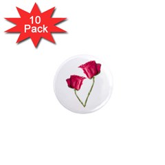 Red Roses Photo 1  Mini Magnet (10 Pack)  by dflcprints