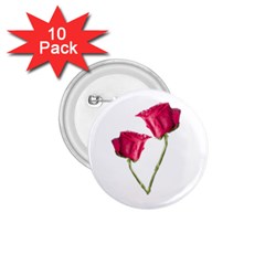 Red Roses Photo 1 75  Buttons (10 Pack) by dflcprints