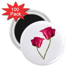 Red Roses Photo 2 25  Magnets (100 Pack)  by dflcprints