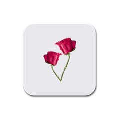 Red Roses Photo Rubber Square Coaster (4 Pack)  by dflcprints