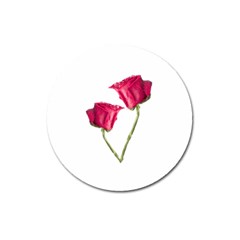 Red Roses Photo Magnet 3  (round) by dflcprints