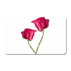 Red Roses Photo Magnet (rectangular) by dflcprints