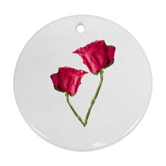 Red Roses Photo Round Ornament (two Sides) by dflcprints