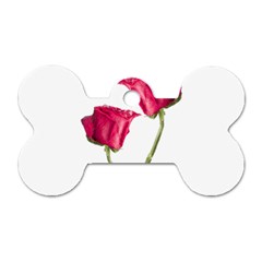 Red Roses Photo Dog Tag Bone (one Side) by dflcprints