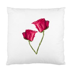 Red Roses Photo Standard Cushion Case (one Side) by dflcprints