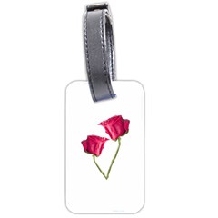 Red Roses Photo Luggage Tags (two Sides) by dflcprints