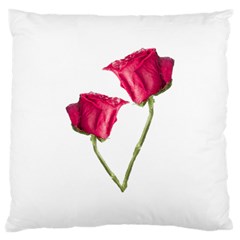 Red Roses Photo Large Cushion Case (one Side) by dflcprints