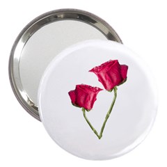 Red Roses Photo 3  Handbag Mirrors by dflcprints