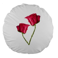 Red Roses Photo Large 18  Premium Round Cushions by dflcprints