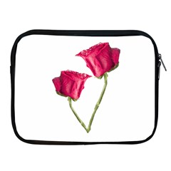 Red Roses Photo Apple Ipad 2/3/4 Zipper Cases by dflcprints