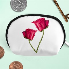 Red Roses Photo Accessory Pouches (medium)  by dflcprints