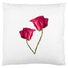 Red Roses Photo Large Flano Cushion Case (one Side) by dflcprints