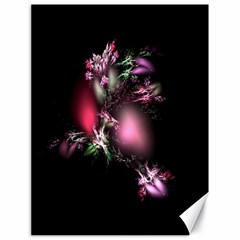 Colour Of Nature Fractal A Nice Fractal Coloured Garden Canvas 18  X 24   by Simbadda