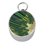 A Feathery Sort Of Green Image Shades Of Green And Cream Fractal Mini Silver Compasses Front