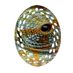 Macro Of The Eye Of A Chameleon Ornament (oval Filigree) by Simbadda