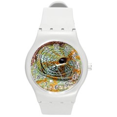 Macro Of The Eye Of A Chameleon Round Plastic Sport Watch (m) by Simbadda