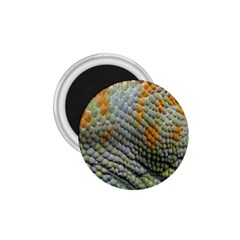 Macro Of Chameleon Skin Texture Background 1 75  Magnets by Simbadda