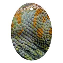 Macro Of Chameleon Skin Texture Background Ornament (oval) by Simbadda