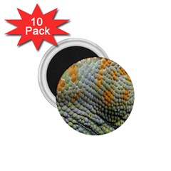 Macro Of Chameleon Skin Texture Background 1 75  Magnets (10 Pack)  by Simbadda