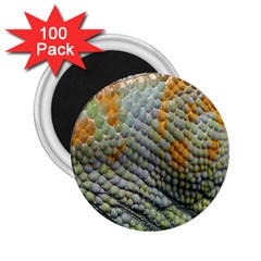 Macro Of Chameleon Skin Texture Background 2 25  Magnets (100 Pack)  by Simbadda