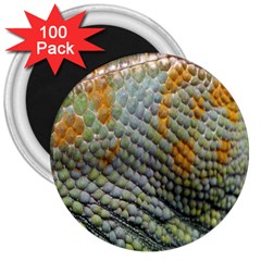 Macro Of Chameleon Skin Texture Background 3  Magnets (100 Pack) by Simbadda