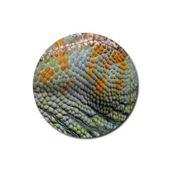 Macro Of Chameleon Skin Texture Background Rubber Coaster (round)  by Simbadda