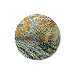 Macro Of Chameleon Skin Texture Background Magnet 3  (round) by Simbadda