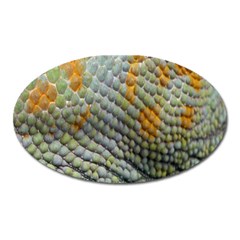 Macro Of Chameleon Skin Texture Background Oval Magnet by Simbadda