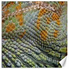 Macro Of Chameleon Skin Texture Background Canvas 12  X 12   by Simbadda