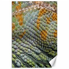 Macro Of Chameleon Skin Texture Background Canvas 12  X 18   by Simbadda