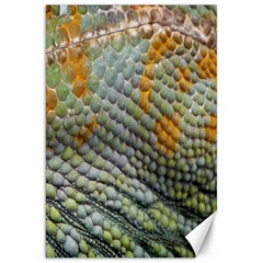 Macro Of Chameleon Skin Texture Background Canvas 20  X 30   by Simbadda