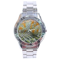 Macro Of Chameleon Skin Texture Background Stainless Steel Analogue Watch by Simbadda