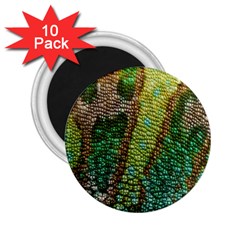 Colorful Chameleon Skin Texture 2 25  Magnets (10 Pack)  by Simbadda