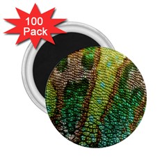 Colorful Chameleon Skin Texture 2 25  Magnets (100 Pack)  by Simbadda