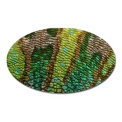 Colorful Chameleon Skin Texture Oval Magnet by Simbadda