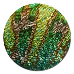 Colorful Chameleon Skin Texture Magnet 5  (round) by Simbadda